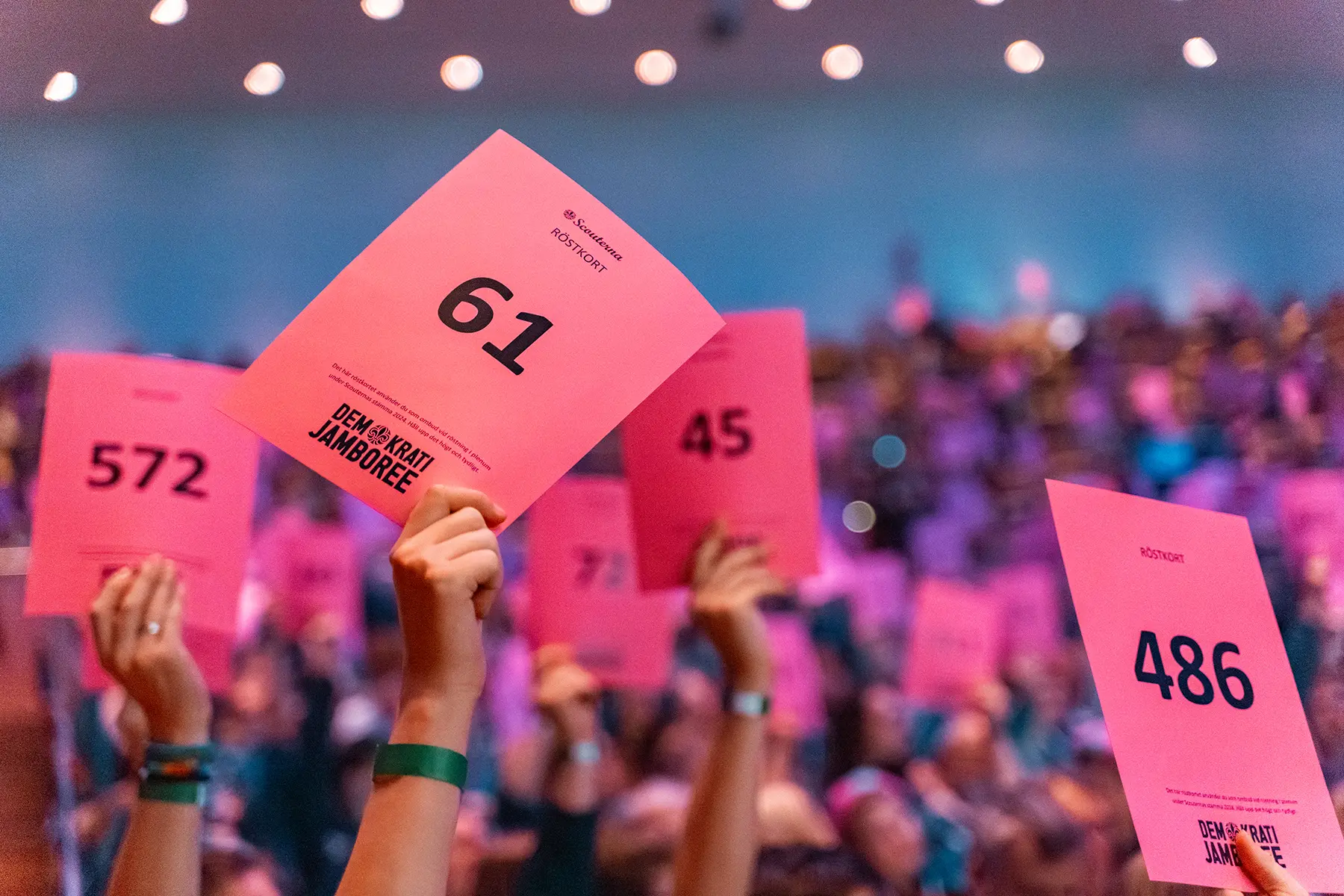 Röstkort hålls upp under Demokratijamboree